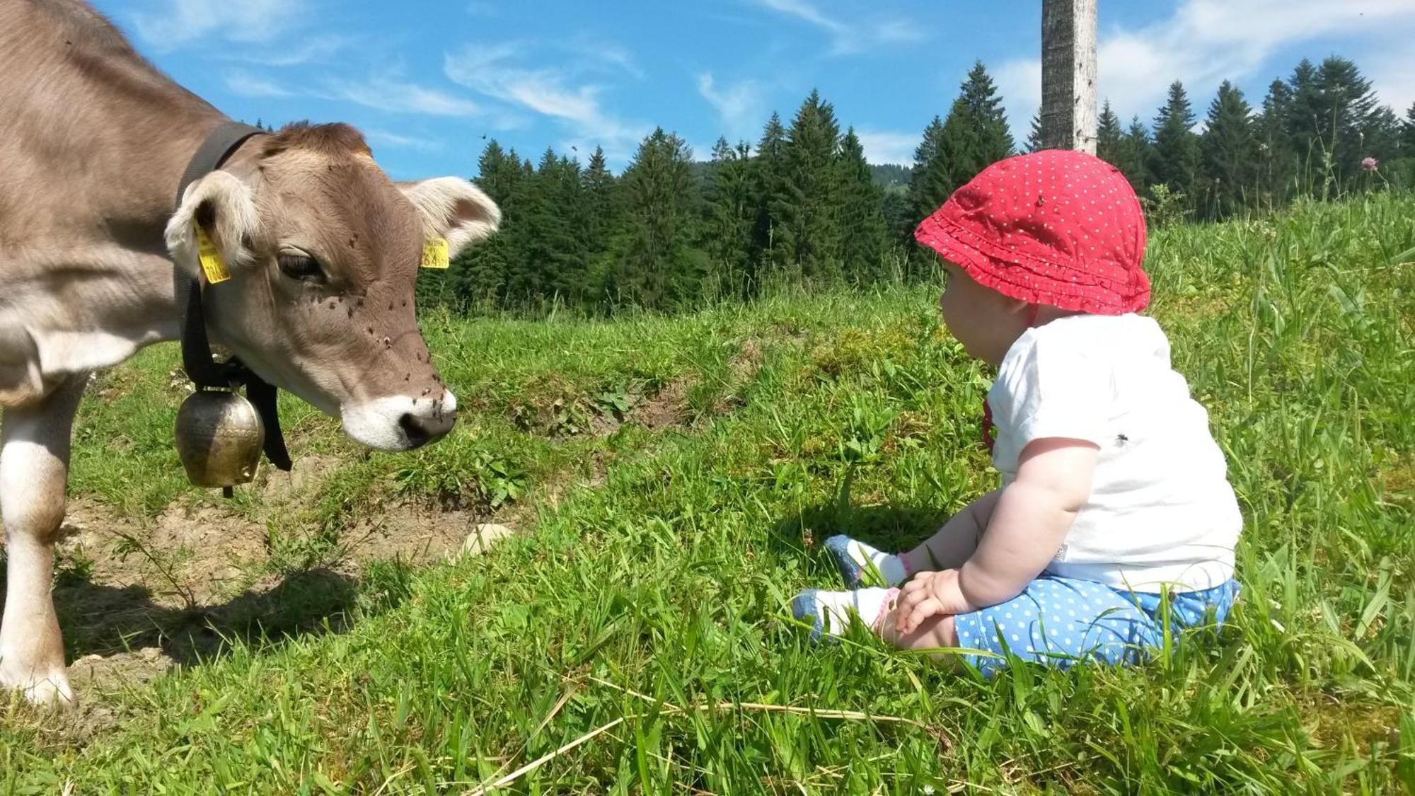Ferienhof Duerlinde Hittisau Exteriör bild
