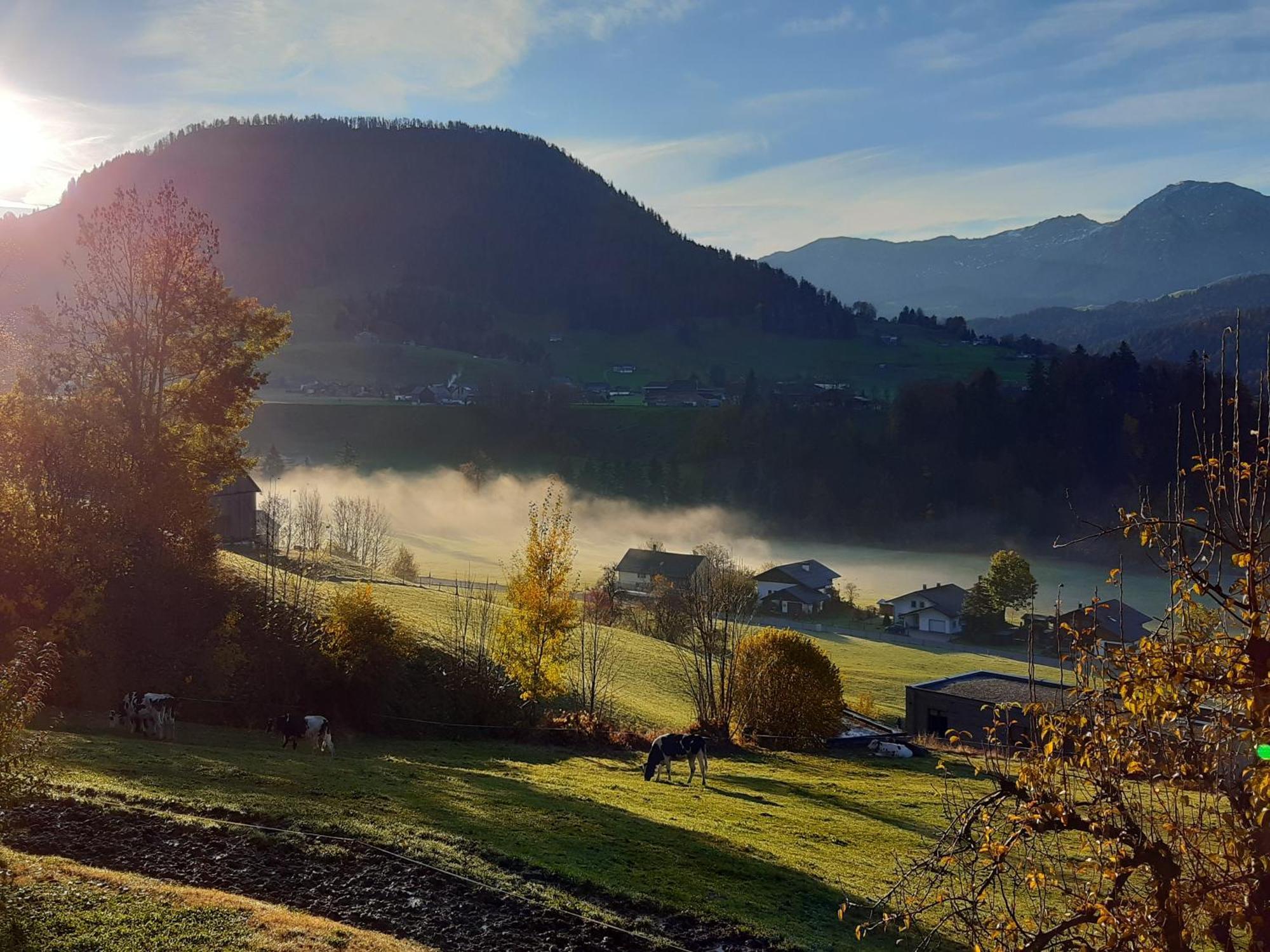 Ferienhof Duerlinde Hittisau Exteriör bild