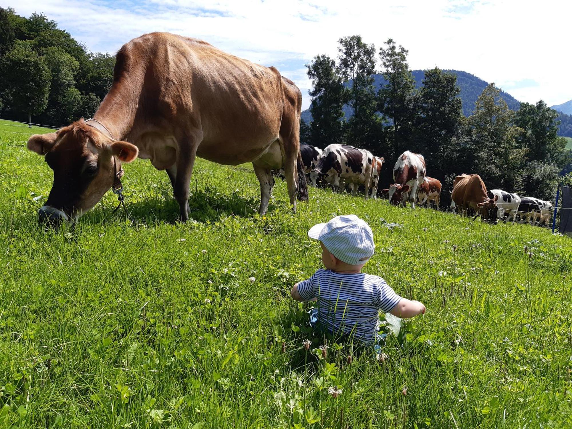 Ferienhof Duerlinde Hittisau Exteriör bild