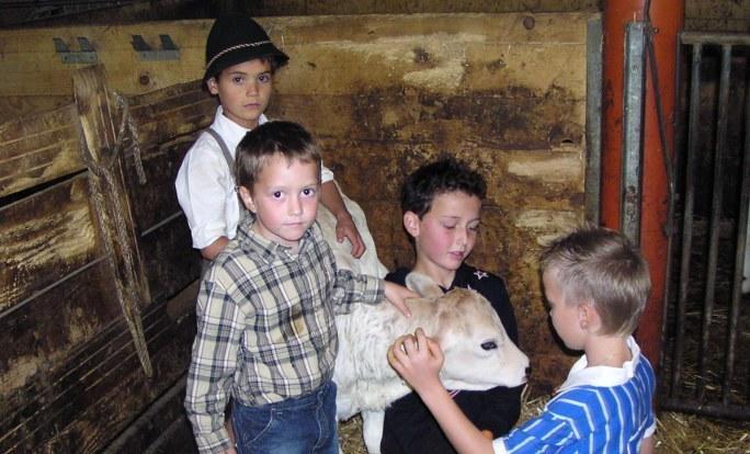 Ferienhof Duerlinde Hittisau Exteriör bild